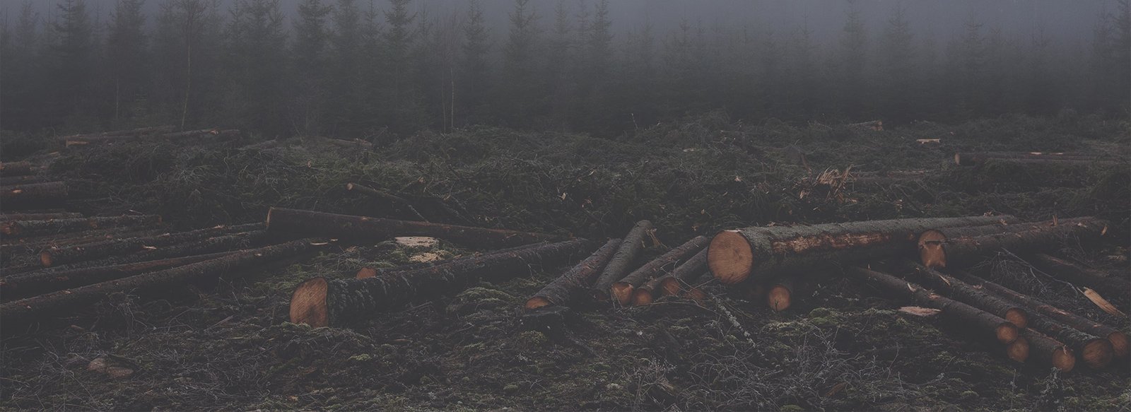 Pages – WP Gallery Styles